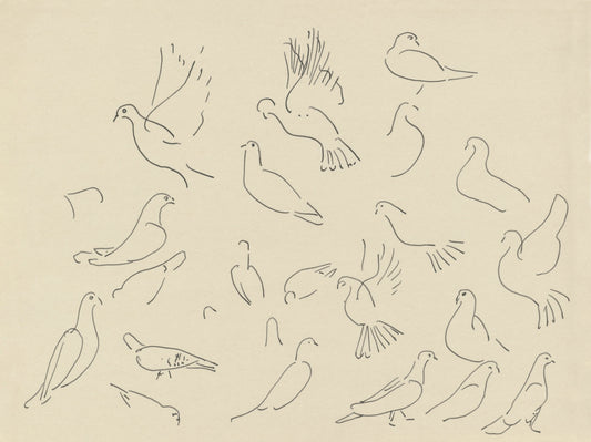 Dove Study