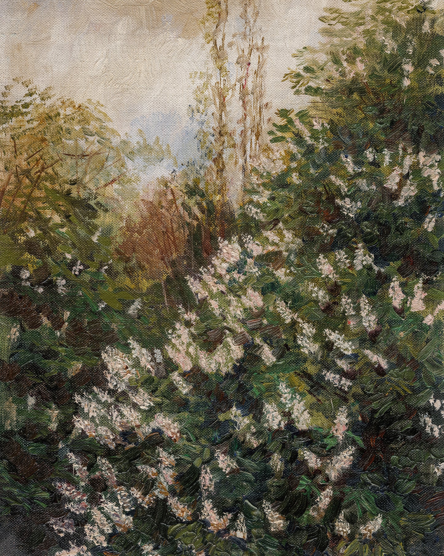 Forest Lilacs