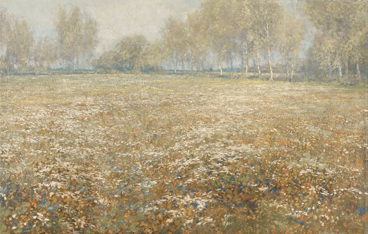 Meadow in Bloom