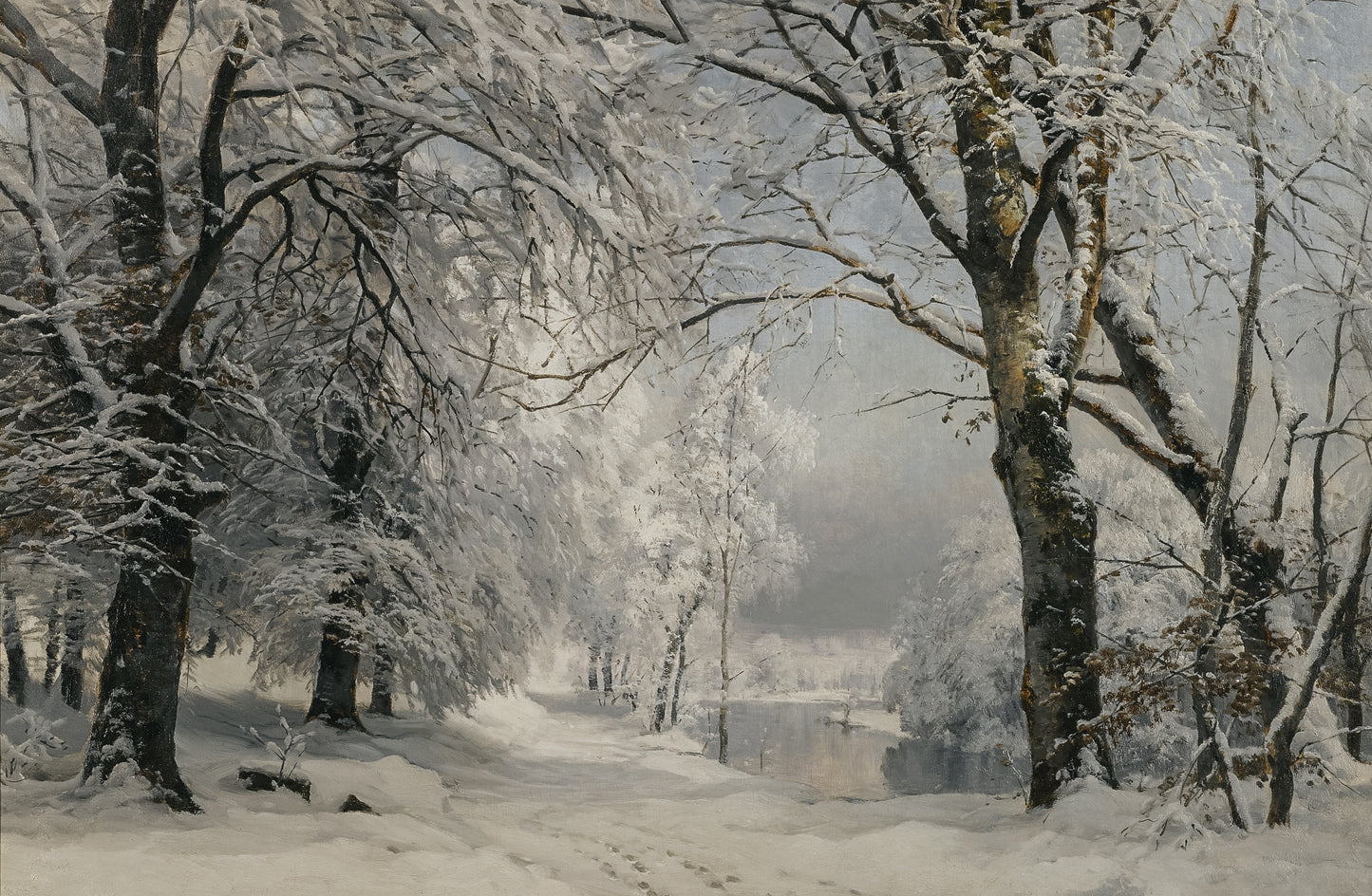 Snow Covered Woods