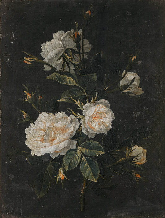 Still Life of Roses