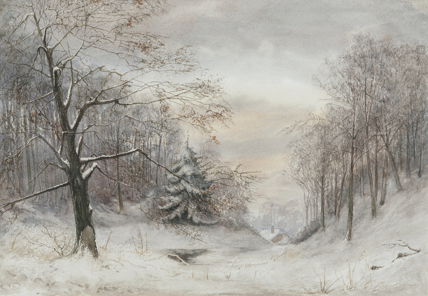 Winter Forest