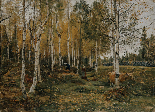 Birch Trees