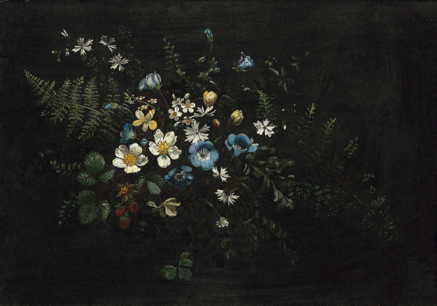 Flowers and Ferns